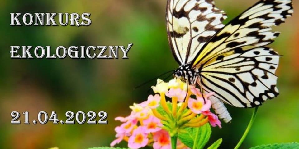 278578961_1980715242115829_3476656573426715111_n